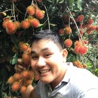 Truongdinhtu