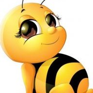 Honey Bee