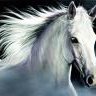 whitehorse