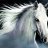 whitehorse