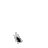 tractam